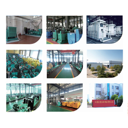 柴油发电机厂家-江苏星光发电设备公司(图)