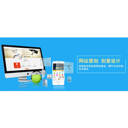 天助志成科技(图)-网站设计 网站建设公司-网站建设