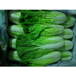 瓜果蔬菜配送-蔬菜配送-东莞康有农业蔬菜配送(查看)