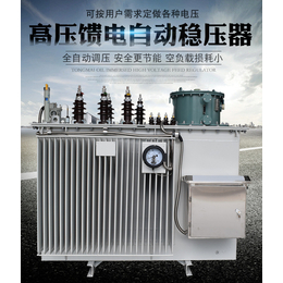 长线路远距离供电用10kv线路调压稳压器SVR2000KVA