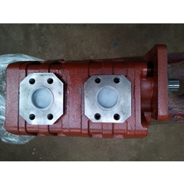 济南液压泵有限责任公司齿轮泵CBGJ