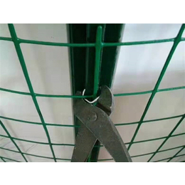 养殖铁丝网围栏-山东养殖铁丝网-超兴金属丝网(多图)
