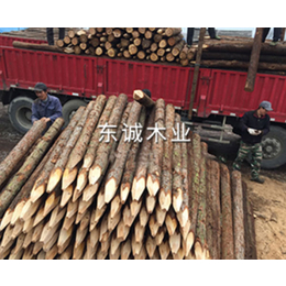 绿化木桩价格-绿化木桩-东诚木业杉木桩厂家