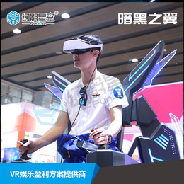 VR文旅景区VR飞行模拟器9DVR体验馆加盟