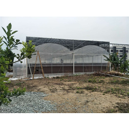 温室大棚-广州大棚厂家(在线咨询)-温室大棚薄膜