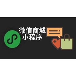 微信小程序创业指南