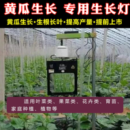 蔬菜-诺达植物补光灯-大棚蔬菜补光灯费电不