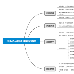 桐城拼多多无货源店群采集过滤上货软件代理加盟