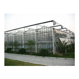 玻璃智能温室大棚-瑞青农林(在线咨询)-铜仁玻璃温室