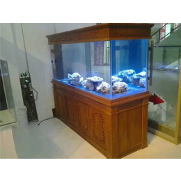 观赏鱼缸公司-玖玖水族(在线咨询)-舟山观赏鱼缸