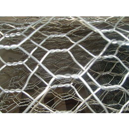 石笼网生产-石笼网-腾安丝网