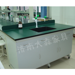 浙江试验台-大森家具来样定制-实验室试验台生产厂家