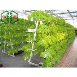 无土栽培K1-03 温室大棚专ye设备专ye育花育苗