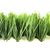 海丰人造草坪铺装-立美建材产品品质保证-校园人造草坪铺装缩略图1