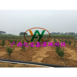 果蔬滴灌工程设计-亿安鑫节水灌溉-田东果蔬滴灌工程