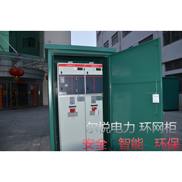 XGN15-12环网柜专卖_尔悦电力厂家销售缩略图