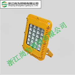 防爆LED泛光灯SZSW8210灯具工厂家