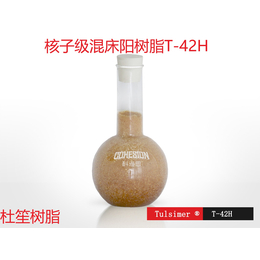 科海思杜笙DTRO膜后除氨氮树脂T-42H精度1ppm