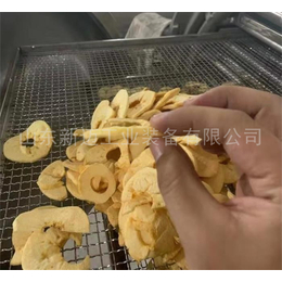 重庆菠萝蜜反压差脆片加工设备-山东新迈工业