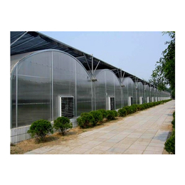 瑞青农林科技有限公司-阳光板智能温室大棚造价-舟山温室大棚