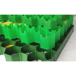 聊城塑料植草格-7公分停车场塑料植草格-植草格生产厂家