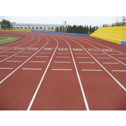天津塑胶跑道球场-天津市立新体育设施-天津塑胶跑道