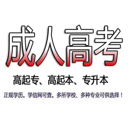 黄石学历提升-学历提升培训-启航者(推荐商家)