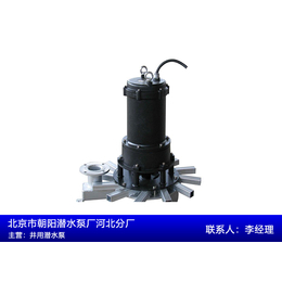 小型污水泵视频-陕西小型污水泵-朝阳污水泵(查看)