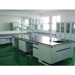 泰龙净化(图)-洁净实验室施工-丽水洁净实验室