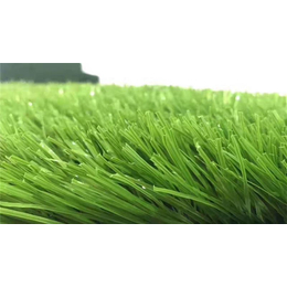 鄂州足球场人造草坪-野火体育设施公司