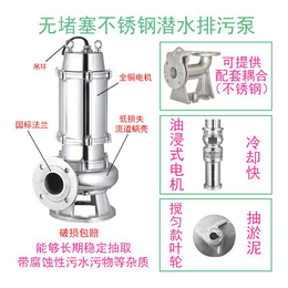 小型排水泵价格-临泉泵业污水泵图片-广西小型排水泵