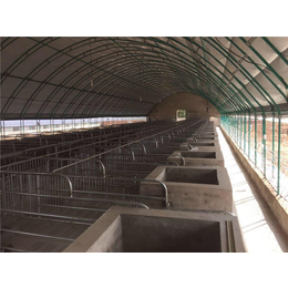 建设养猪大棚-华牧养殖设备质量好-崇州养猪大棚