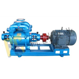水环式真空泵-锐创泵业(在线咨询)-南京真空泵