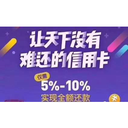 厦门维壹智能代还app开发 功能齐全 开发模式多