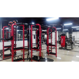 室内健身器材厂商-室外大有健身器材-西安室内健身器材