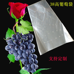 加厚葡萄包装袋-忻州葡萄包装袋-雄县运达包装厂
