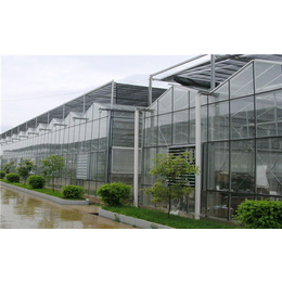齐鑫温室阳光板大棚-蔬菜温室大棚-蔬菜温室大棚工程