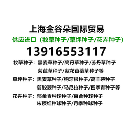 牧草种子 上海港进口种植牧草用的黑麦草种子