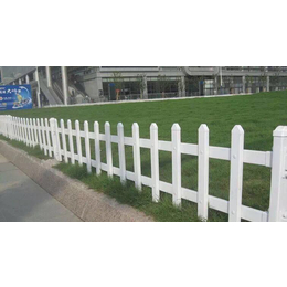 *白色草坪护栏 城市草坪护栏 绿化护栏 草坪塑钢栅栏