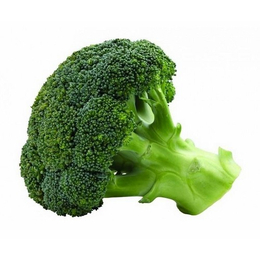 蔬菜哪便宜-昆明蔬菜-刘建平蔬菜蔬菜
