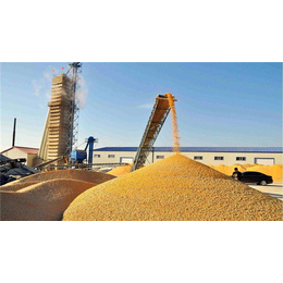 郑州华茂机械公司-海口水稻烘干塔-200吨水稻烘干塔厂家