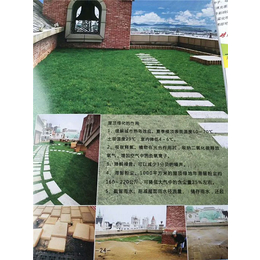 屋顶花园公司-栖霞屋顶花园- 南京典藏装饰(查看)