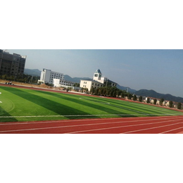 宜昌足球场工程-野火体育设施公司