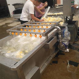 湘阴龙虾气泡清洗机-汇康食品机械-龙虾气泡清洗机图片