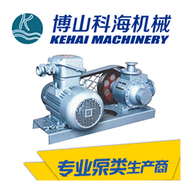 广西液氨泵生产厂家-科海泵业-广西液氨泵