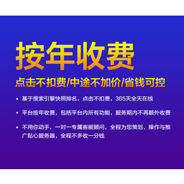 网络营销案例-湖北九一搜霸-电子商务网络营销案例