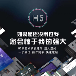 乌鲁木齐市选做网站公司-新疆有客寻全网营销(在线咨询)