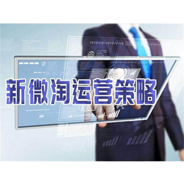 天津优选天下科技公司-天津淘宝代运营多少钱