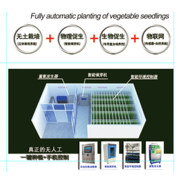 青州市迪生自动化设备-500斤芽苗莱机价格-嫩江芽苗莱机价格