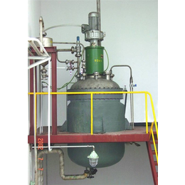 中山实验室反应釜-自控反应釜生产厂家-实验室反应釜价格